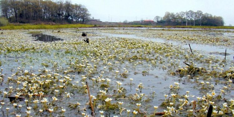 americanos-sao-presos-na-coreia-do-sul-por-tentarem-enviar-arroz-e-biblias-para-o-norte