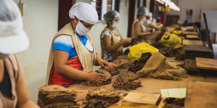 o-agro-puxou-o-pib,-mas-nao-do-jeito-que-voce-imagina
