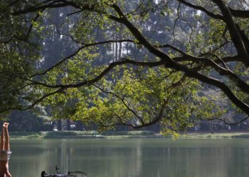 usp-identifica-primeiros-casos-de-gripe-aviaria-no-parque-ibirapuera,-em-sao-paulo