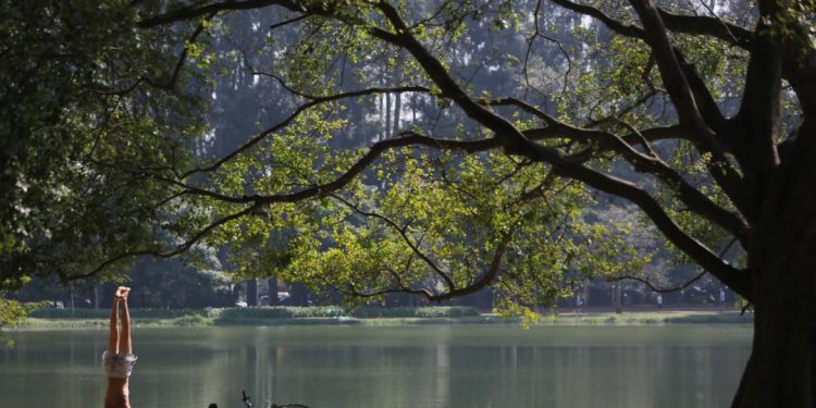 usp-identifica-primeiros-casos-de-gripe-aviaria-no-parque-ibirapuera,-em-sao-paulo