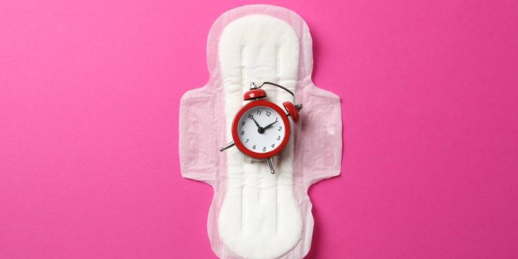 a-qualidade-da-dieta-pode-influenciar-na-idade-da-menstruacao?