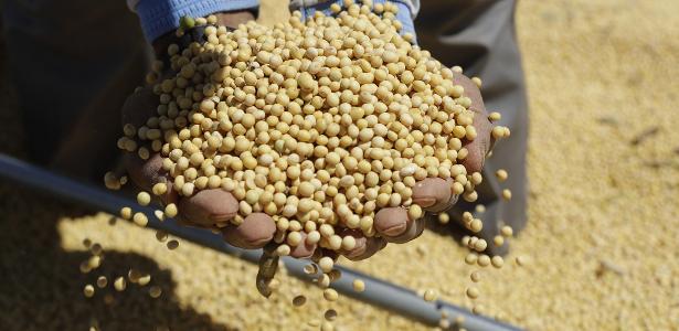 fgv:-tarifa-de-50%-dos-eua-pode-derrubar-exportacoes-do-agro-em-ate-75%