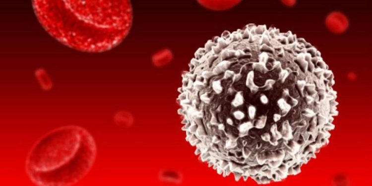 degradar-proteinas:-uma-nova-forma-de-desestabilizar-e-atacar-o-cancer