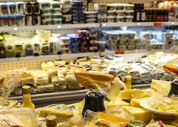 pesquisador-cria-guia-que-classifica-locais-de-venda-de-alimentos