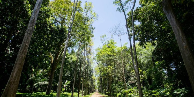 preco-do-ingresso-para-o-jardim-botanico-do-rio-mais-que-duplica