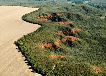 camara-aprova-novas-regras-para-licenciamento-ambiental