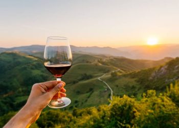 medicos-como-vinhos:-o-tempo-e-o-terroir-moldam-a-excelencia