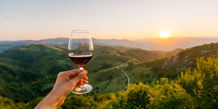 medicos-como-vinhos:-o-tempo-e-o-terroir-moldam-a-excelencia