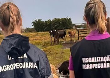 primeiro-caso-de-gripe-aviaria-e-confirmado-no-ceara