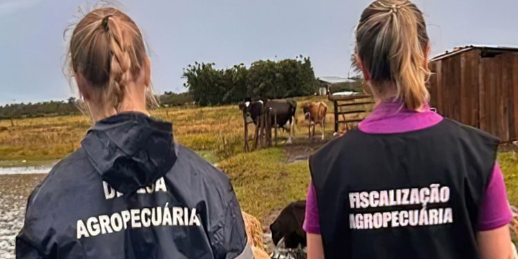 primeiro-caso-de-gripe-aviaria-e-confirmado-no-ceara