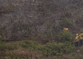 defesa-civil-realiza-missao-nos-estados-da-amazonia-legal-e-pantanal