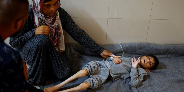 sob-pressao-em-funcao-da-fome-em-gaza,-israel-anuncia-pausa-militar