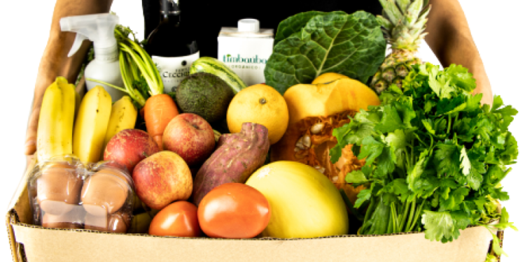uma-dieta-saudavel-e-acessivel?-veja-o-que-dizem-os-numeros