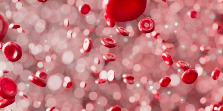 doenca-genetica-que-afeta-o-sangue-passa-a-ser-de-notificacao-compulsoria