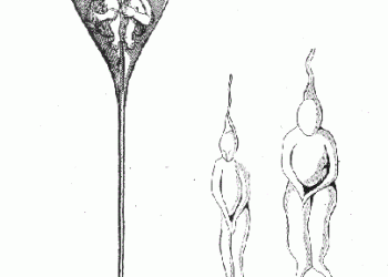 ovos-humanos-e-sapos-com-calca:-as-bizarrices-por-tras-da-ciencia-da-gestacao