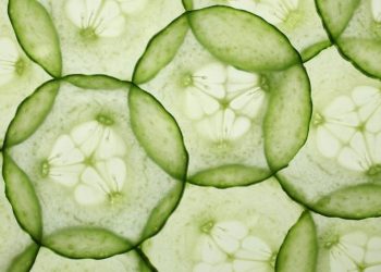 pepino-a-vista