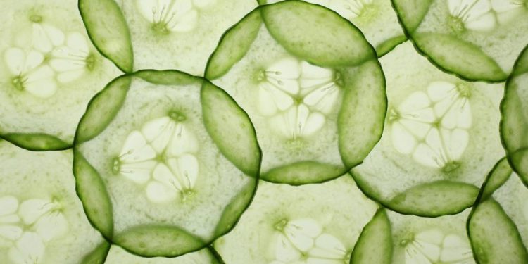 pepino-a-vista
