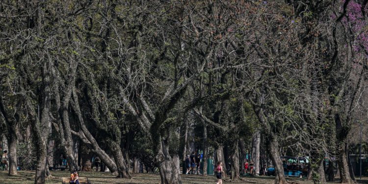cidade-de-sao-paulo-tem-agosto-mais-seco-desde-2020