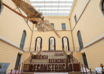 festival-permite-publico-ver-de-perto-reconstrucao-do-museu-nacional