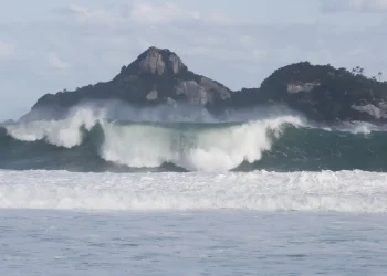 jovens-de-9-paises-participam-de-curso-de-pesquisas-oceanicas-no-rio