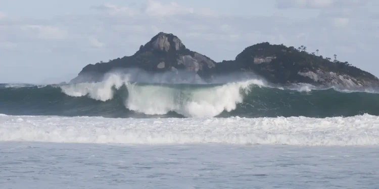 jovens-de-9-paises-participam-de-curso-de-pesquisas-oceanicas-no-rio