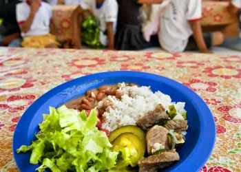 camara-aprova-projeto-de-compra-de-alimentos-para-merenda-escolar