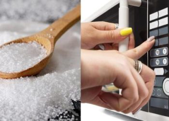 por-que-truque-recomenda-colocar-sal-no-micro-ondas?-entenda-para-que-serve