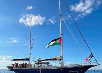 ativistas-brasileiros-da-flotilha-sao-libertados-na-jordania