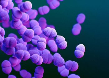 pneumonia-bacteriana:-a-causa-da-morte-de-diane-keaton