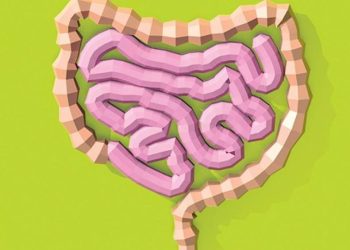 substancias-produzidas-pelo-intestino-podem-influenciar-ganho-de-peso,-mostra-pesquisa