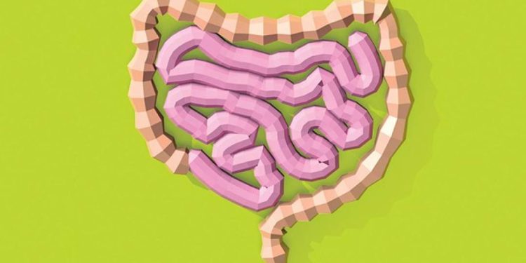 substancias-produzidas-pelo-intestino-podem-influenciar-ganho-de-peso,-mostra-pesquisa