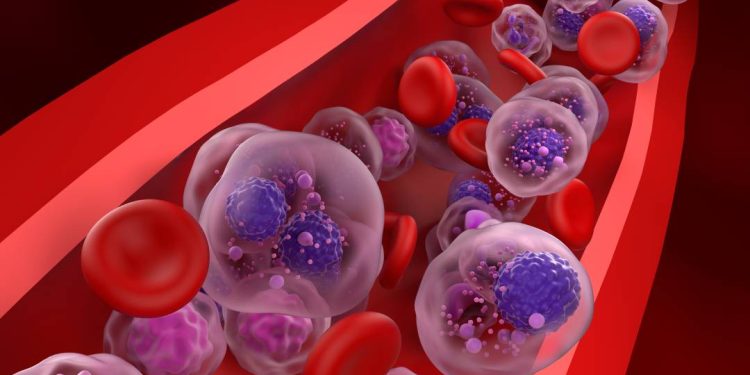 ‘ja-falamos-em-cura-funcional’,-diz-brasileira-que-liderou-estudo-com-droga-inovadora-para-o-cancer