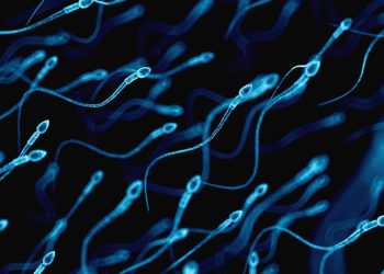 espermatozoides-acumulam-alteracoes-ligadas-a-doencas-em-filhos-de-pais-mais-velhos