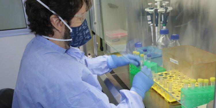 brasil-inicia-testes-de-terapia-genica-para-forma-mais-grave-da-atrofia-muscular-espinhal