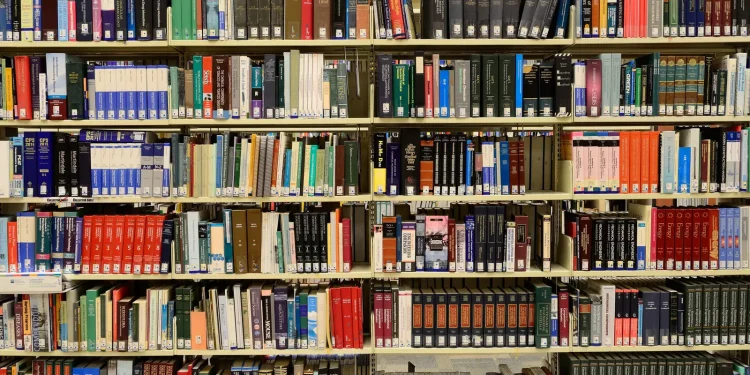 vencedora-do-premio-jabuti-de-2022-lanca-novo-livro