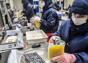 sus-vai-ampliar-aproveitamento-de-plasma-sanguineo-em-30%