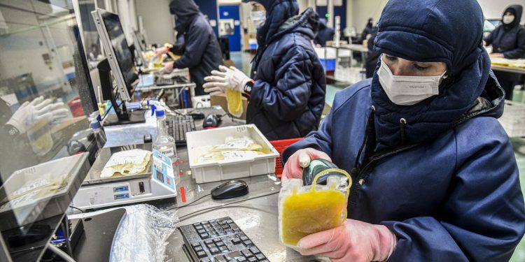 sus-vai-ampliar-aproveitamento-de-plasma-sanguineo-em-30%