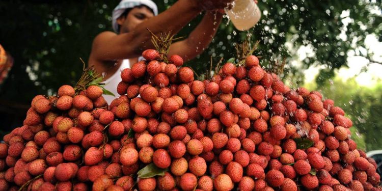 a-hora-e-a-vez-da-lichia:-conheca-nutrientes-e-beneficios-da-fruta-que-bomba-no-fim-do-ano