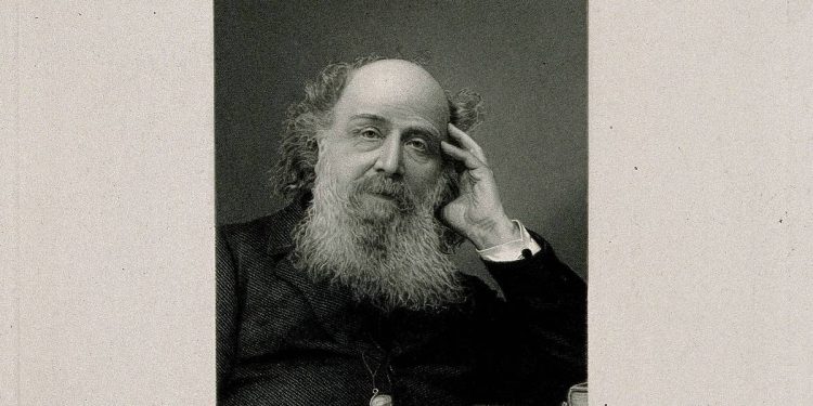 sylvester-enfrenta-o-buldogue-de-darwin