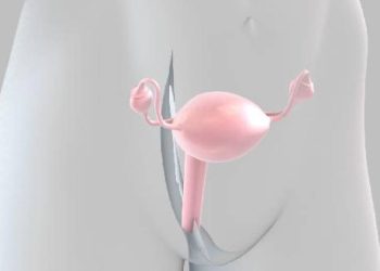 depois-de-uma-decada,-a-ciencia-reacende-a-esperanca-no-cancer-de-ovario