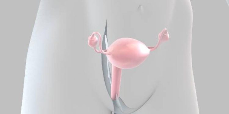 depois-de-uma-decada,-a-ciencia-reacende-a-esperanca-no-cancer-de-ovario