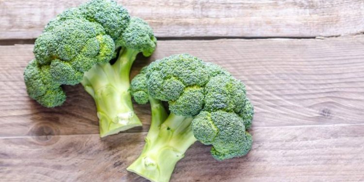 brocolis-demonstra-ser-aliado-para-evitar-o-cancer-de-mama,-diz-estudo