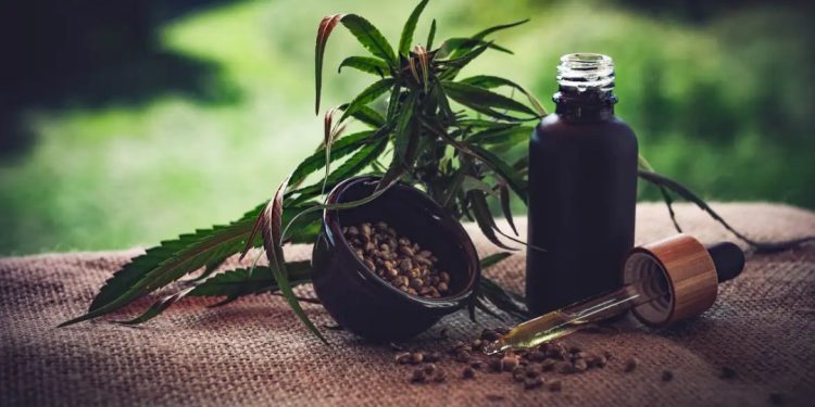 veja-o-que-muda-com-aprovacao-da-anvisa-para-producao-de-cannabis-medicinal