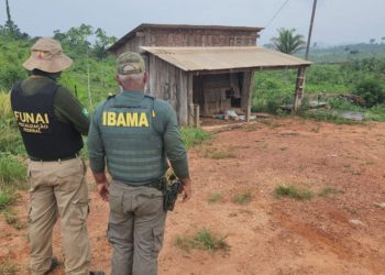 pf-prende-suspeito-de-assassinato-de-parceiro-do-ibama-na-ti-apyterewa