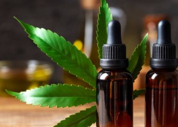 a-cannabis-e-a-jararaca:-o-que-importa-no-uso-medicinal-do-canabidiol?
