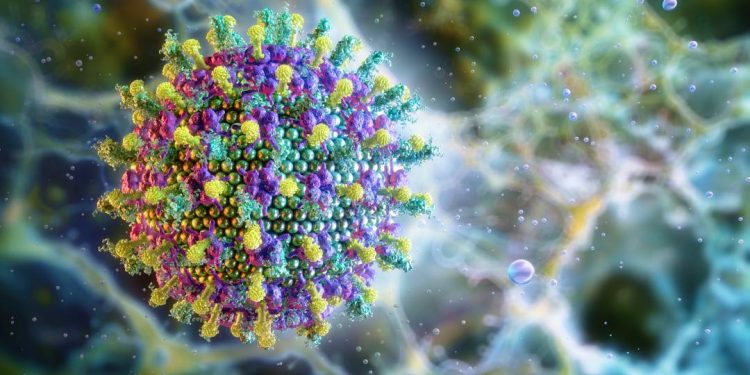 virus-nipah:-novo-caso,-que-resultou-em-morte,-e-registrado-em-bangladesh