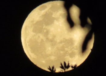 qual-a-fase-da-lua-hoje-(7)?-veja-calendario-lunar-de-fevereiro-de-2026