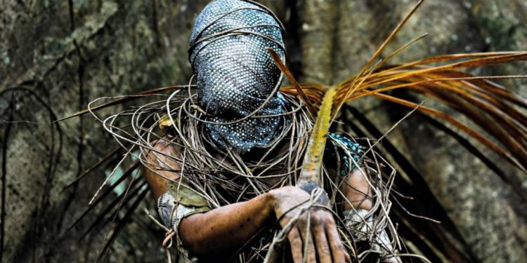 5-obras-para-ver-em-vetores-vertentes-no-ccbb-com-fotografas-do-para