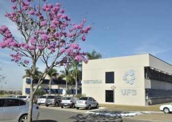 acoes-afirmativas-para-pos-graduacao-promovem-diversidade,-mas-desafiam-federais