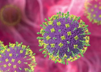 virus-nipah:-alerta-global-reforca-uma-das-maiores-licoes-da-pandemia-de-covid-19